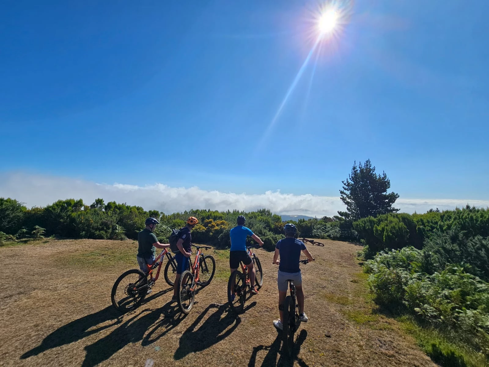 Family bike ride on scenic trails in Madeira.